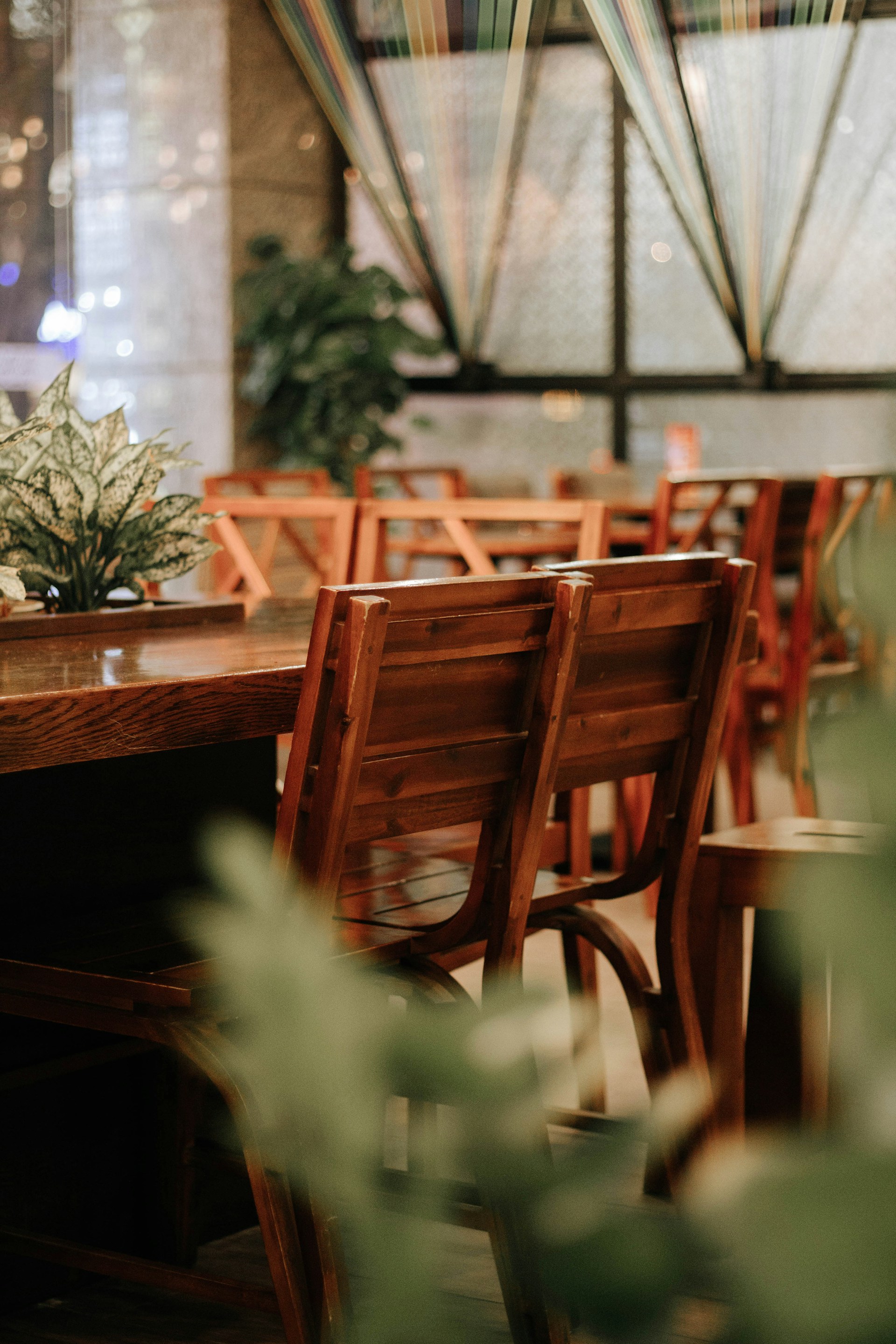 Interieurfoto met houten tafels, banken en decoratieplanten.